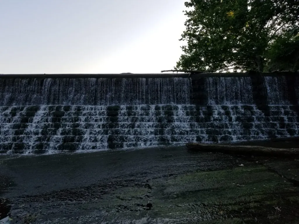 Connect With Nature at Mill Creek Park