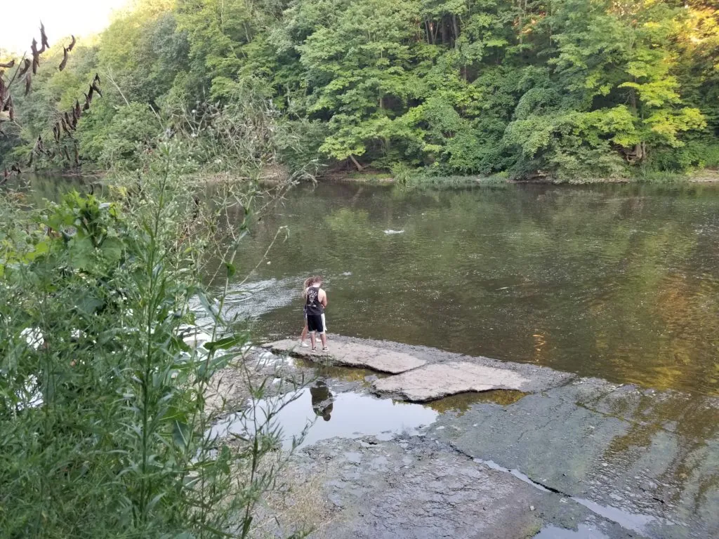 Connect With Nature at Mill Creek Park