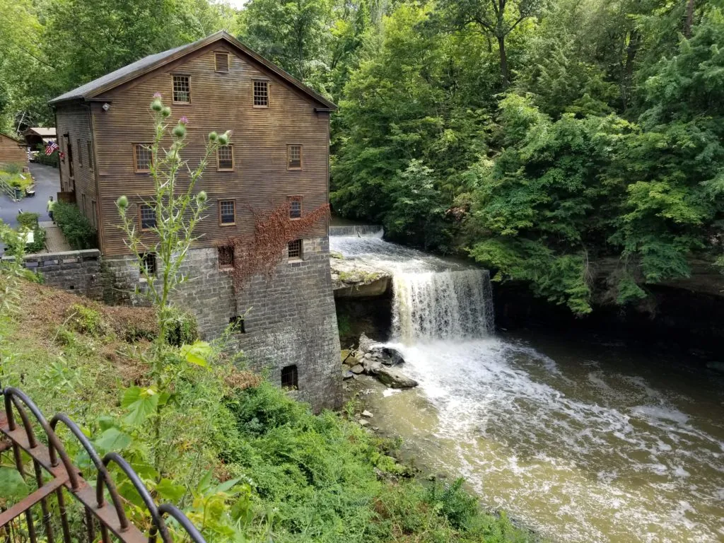 Connect With Nature at Mill Creek Park