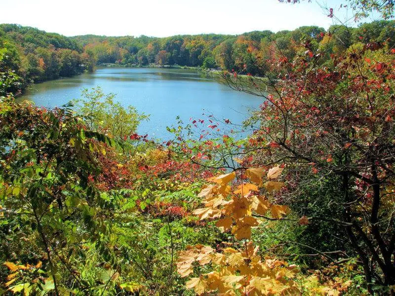 Connect With Nature at Mill Creek Park