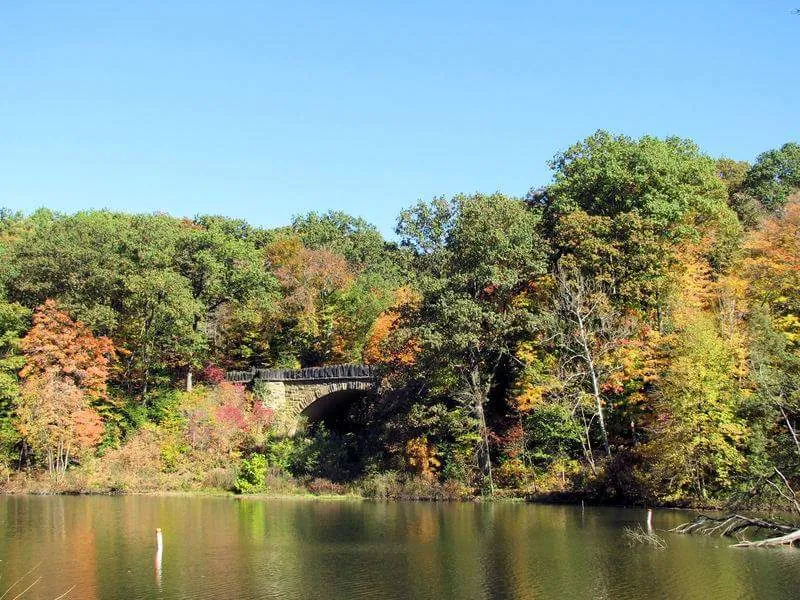 Connect With Nature at Mill Creek Park