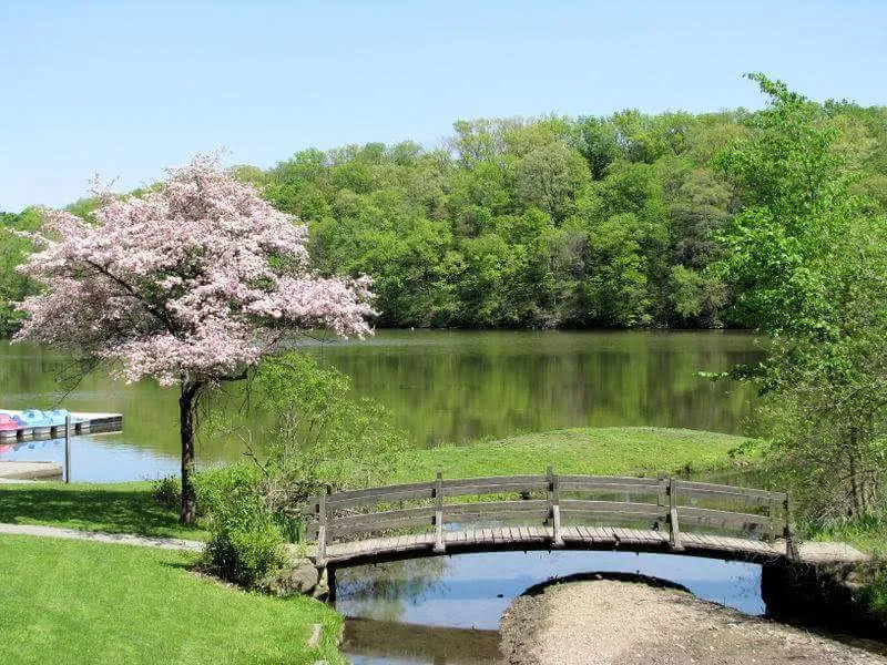 Connect With Nature at Mill Creek Park